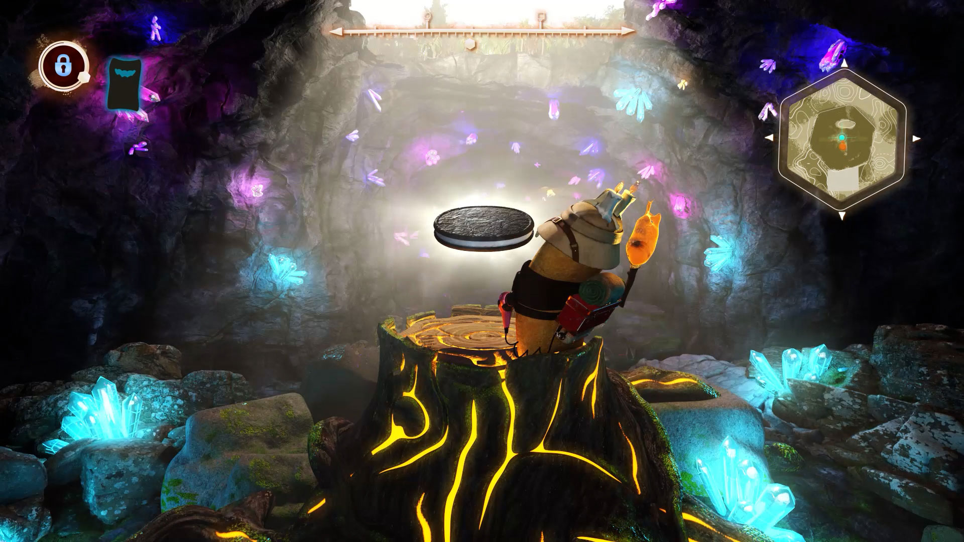 Multi-Campaign Highlights